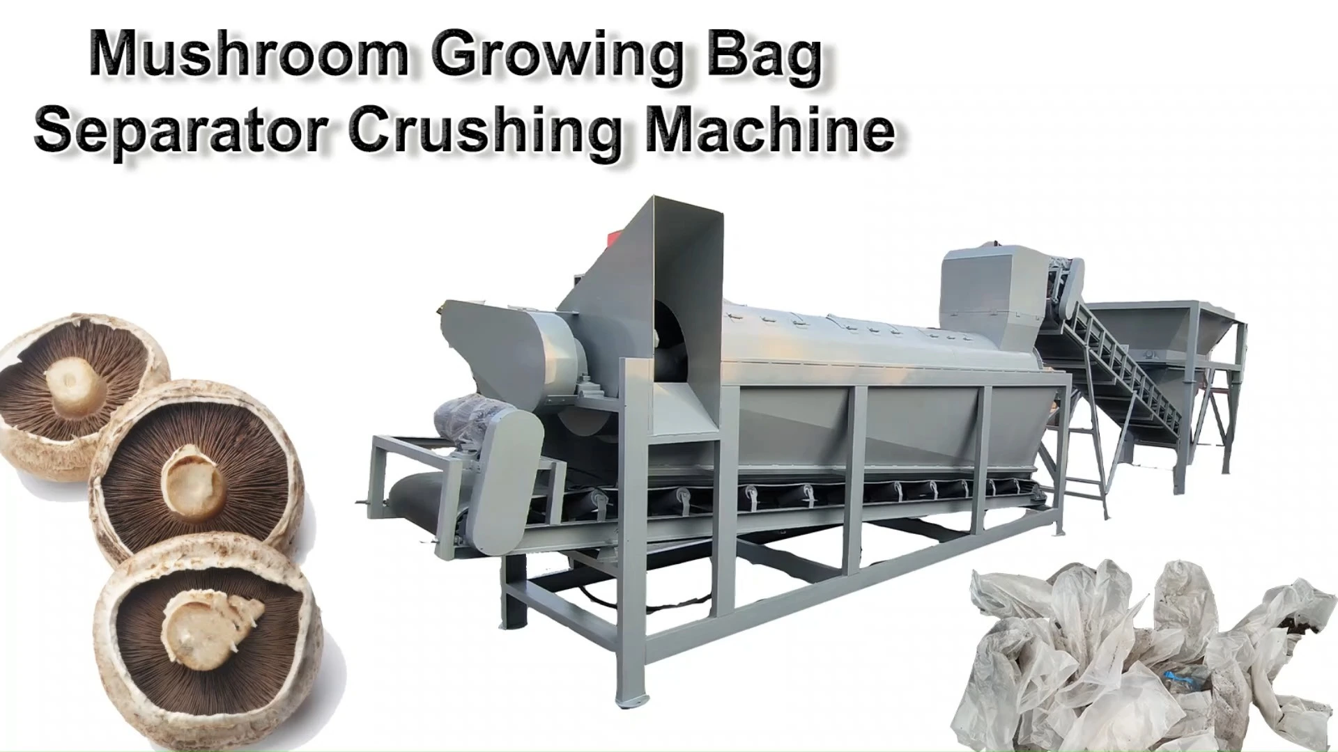 800/900L Mushroom Bag Crusher Separator Machine - Image 2