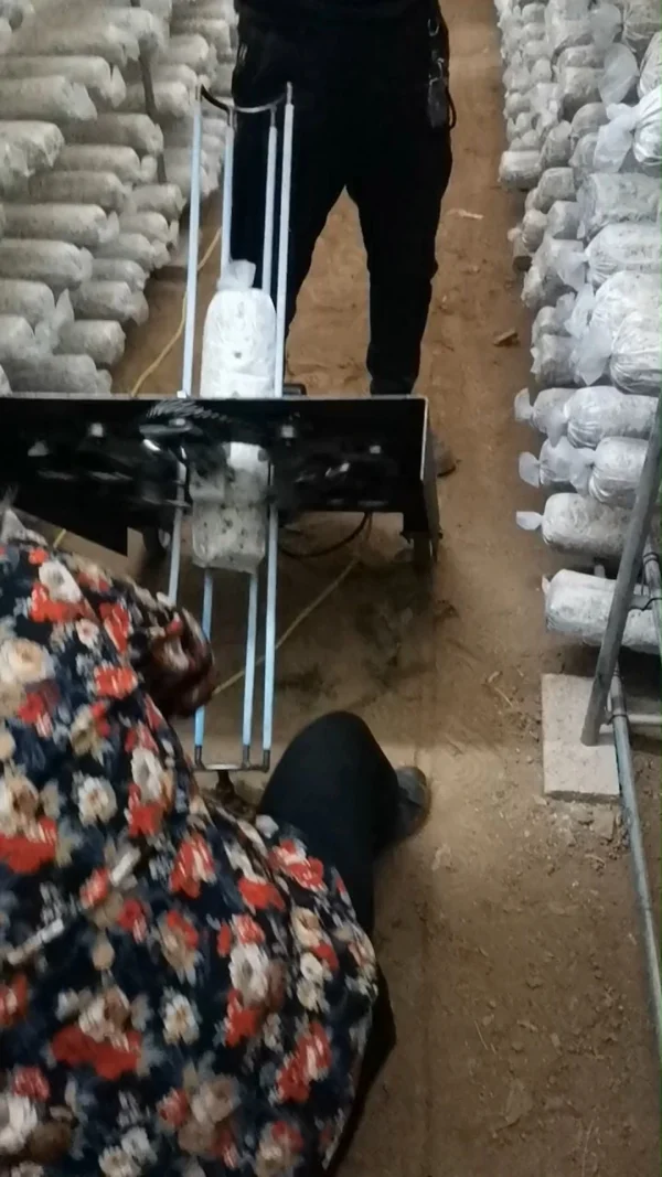 Automatic Mushroom Bag Piercing Machine |Shiitake Mushroom Growing