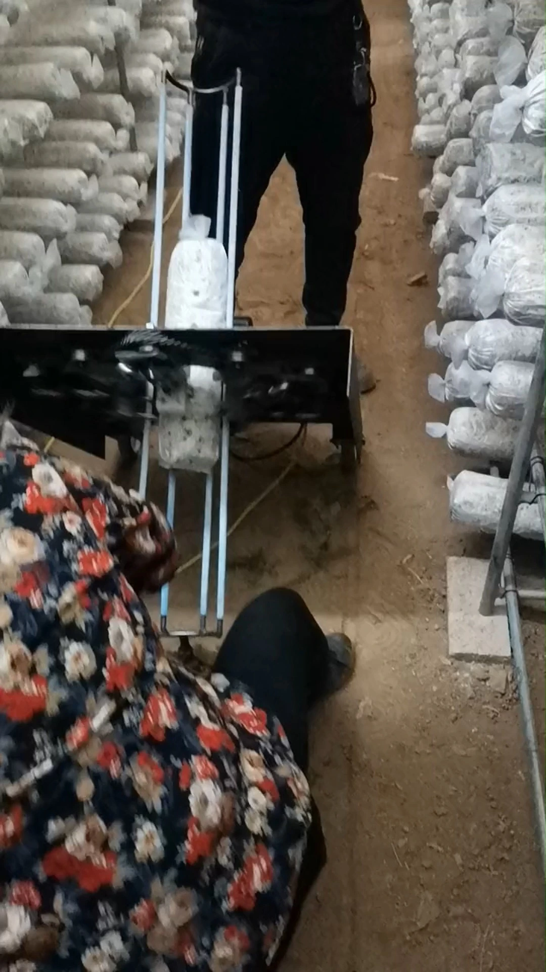 Automatic Mushroom Bag Piercing Machine |Shiitake Mushroom Growing - Image 2