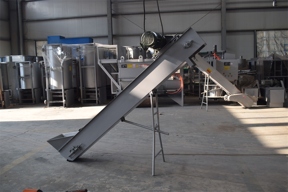 Conveyor Belt For Mushroom - Image 6