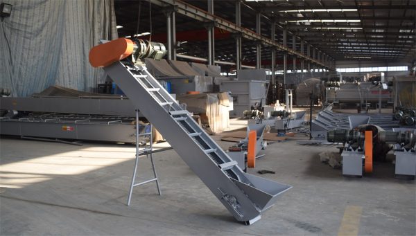 Conveyor Belt For Mushroom