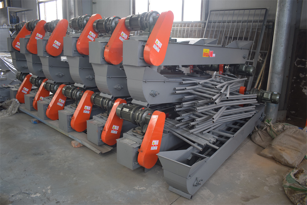 Conveyor Belt For Mushroom - Image 10