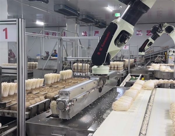Enoki Bottle Filling Production Line
