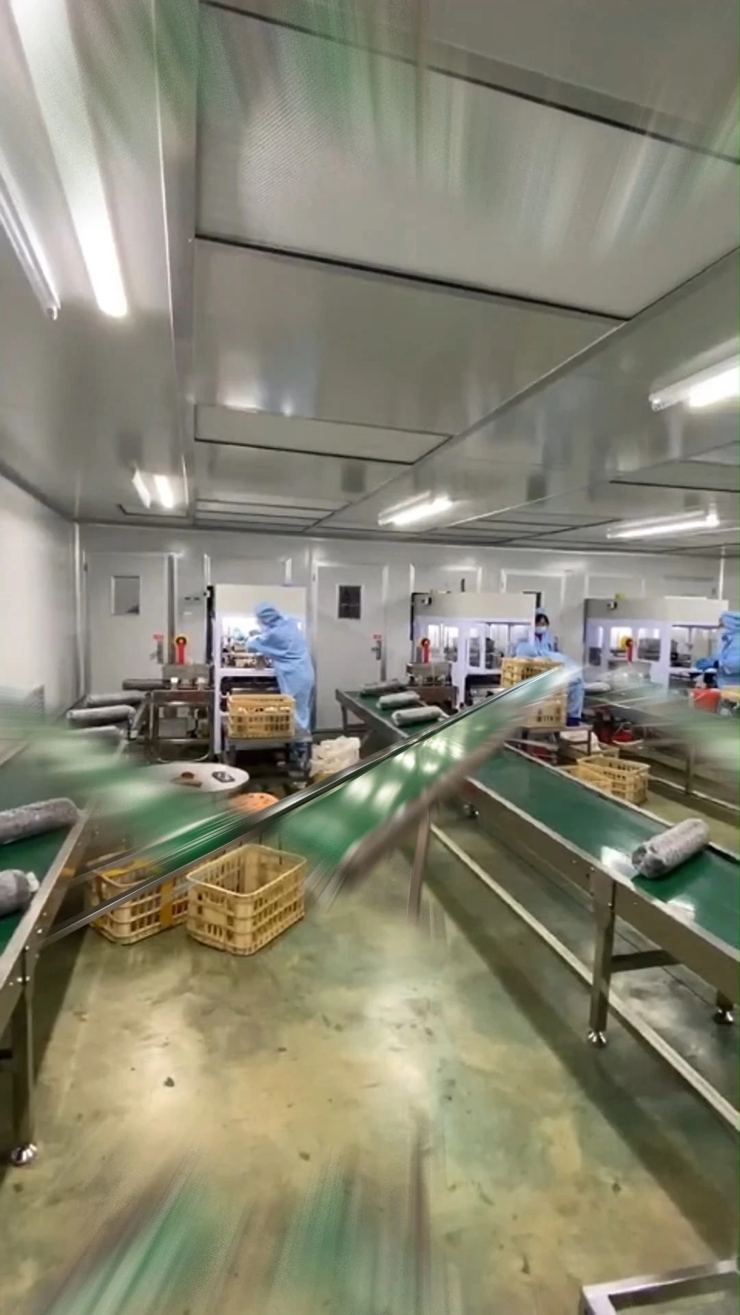 Flat Horizontal Mushroom Conveyor Belt - Image 2
