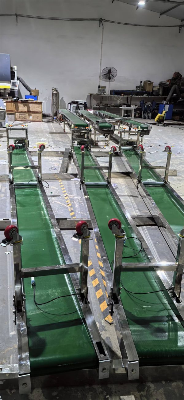 Flat Horizontal Mushroom Conveyor Belt