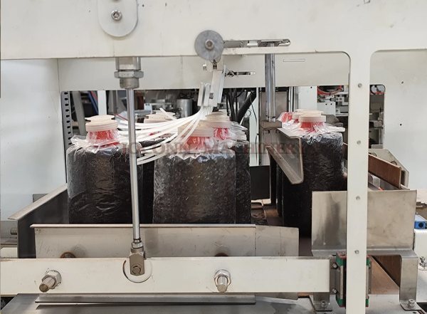 Full Automatic Mushroom Bagging Line with Capping and Ring
