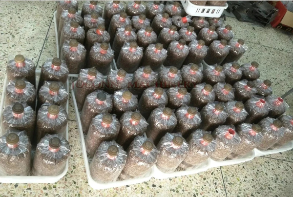 Full Automatic Mushroom Bagging Line with Capping and Ring