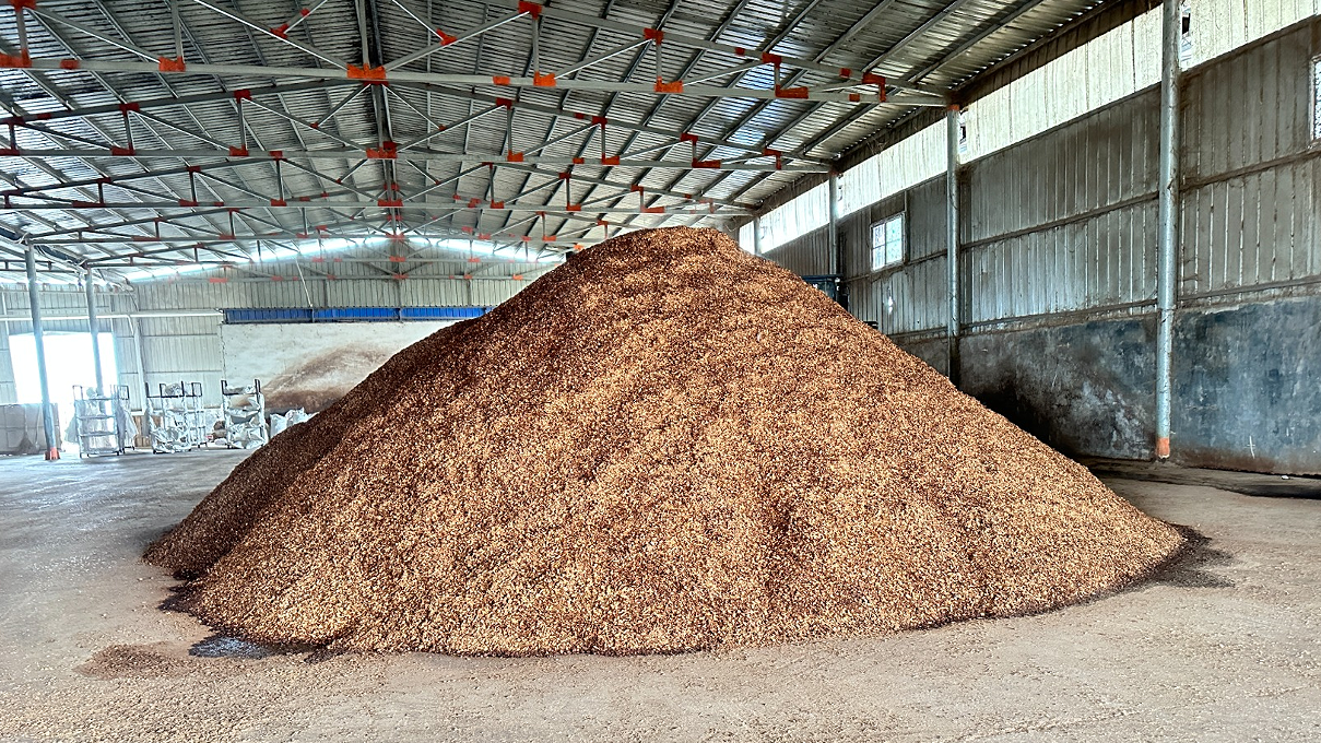How to choose wood varity & wood chips size for shiitake production? 2