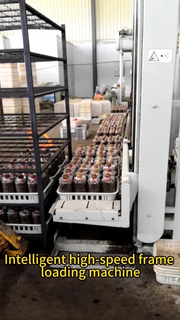 Mushroom Basket Loading Machine Mushroom Loader