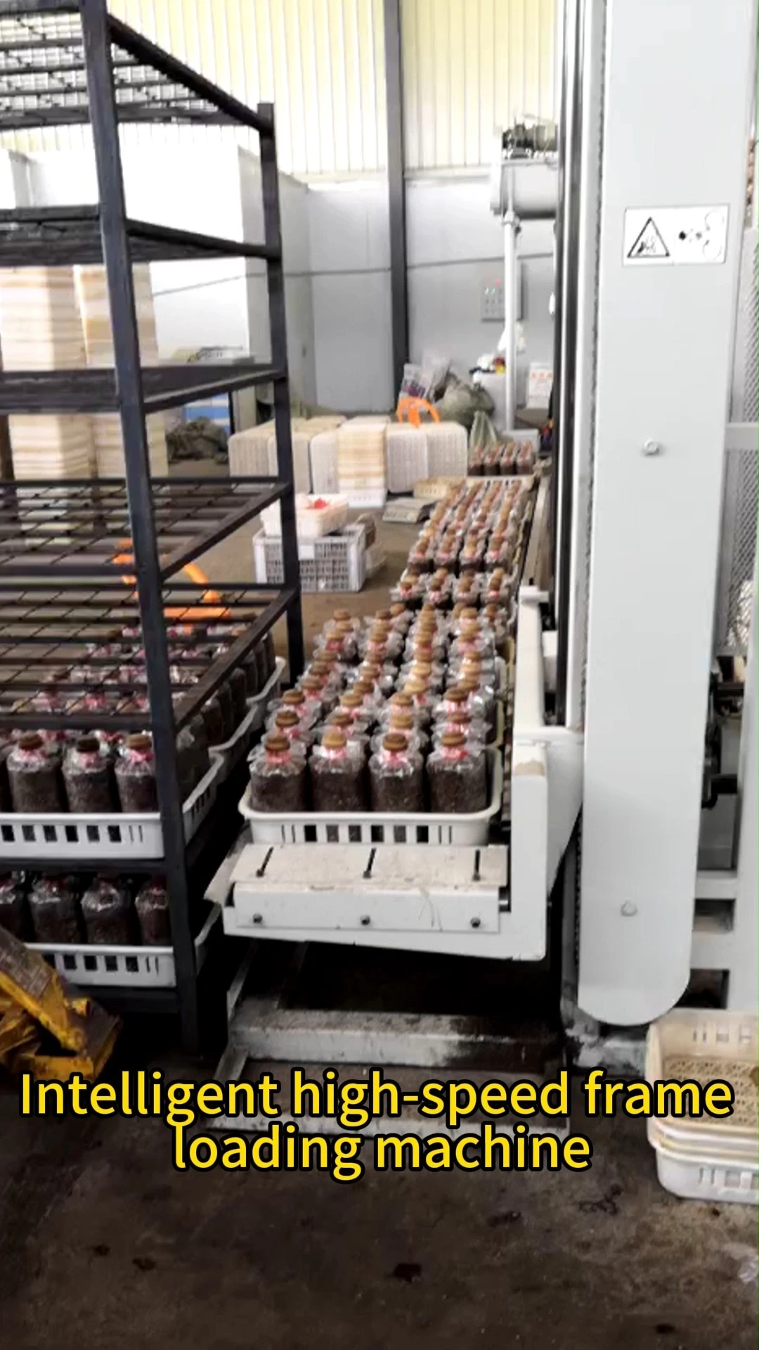 Mushroom Basket Loading Machine Mushroom Loader - Image 2