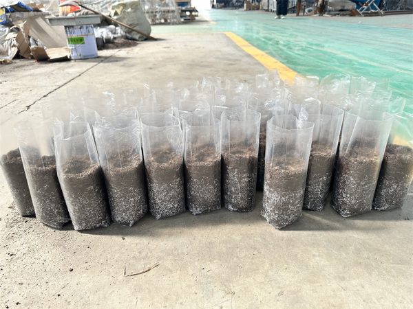 Mushroom Growing Bag