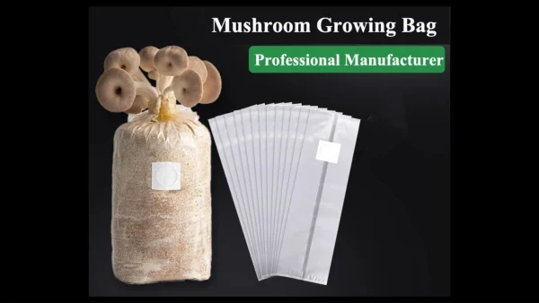 Mushroom Growing Bag