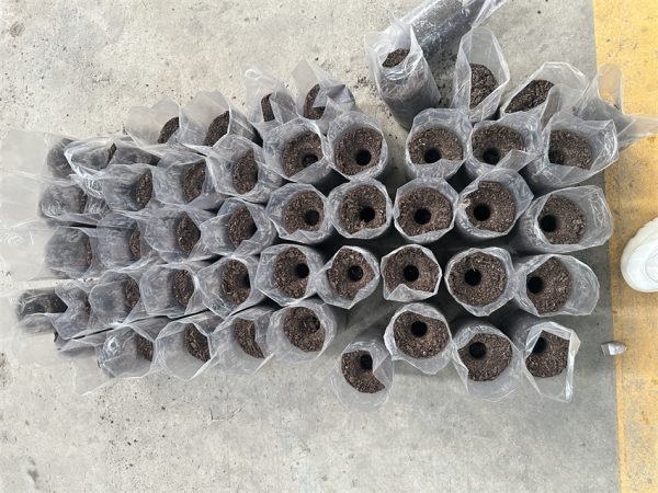 Mushroom Growing Bag