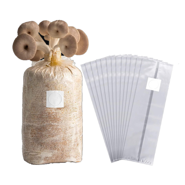 Mushroom Growing Bag