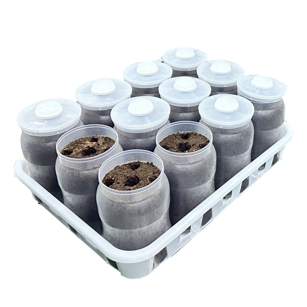 Mushroom Growing Bottle