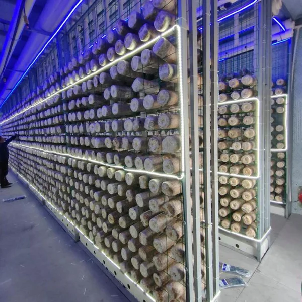 Mushroom Growing Shipping Container