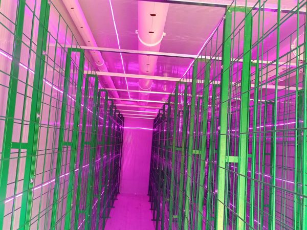 Mushroom Growing Shipping Container