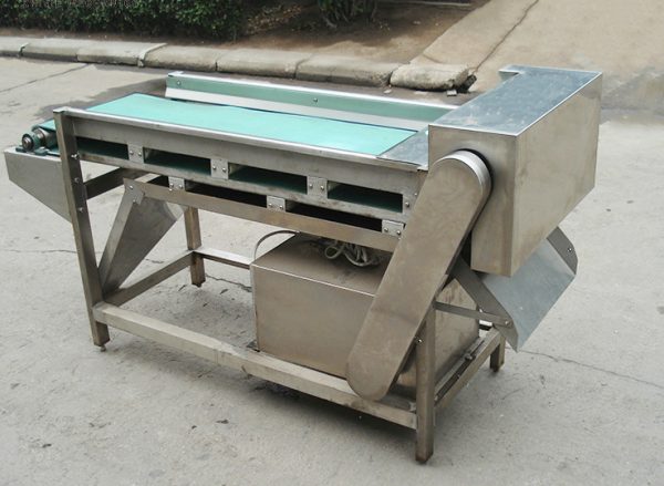 Mushroom Slicing Machine