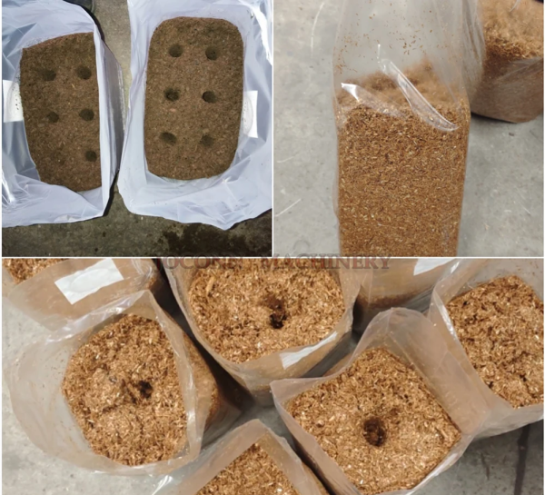 Mushroom Square Bags Stamping Bagging Machine