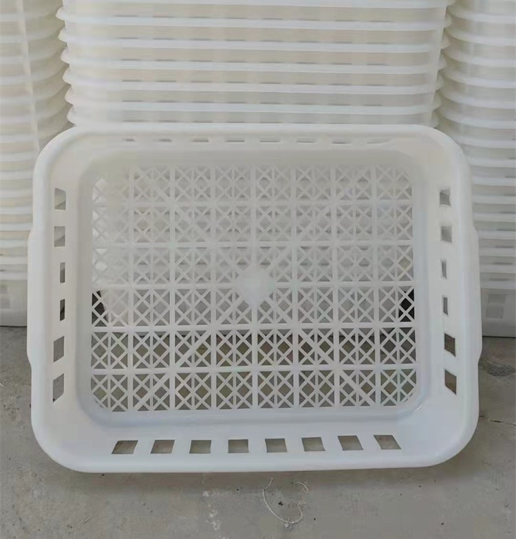 Plastic Basket For Mushroom Cultivation - Image 5