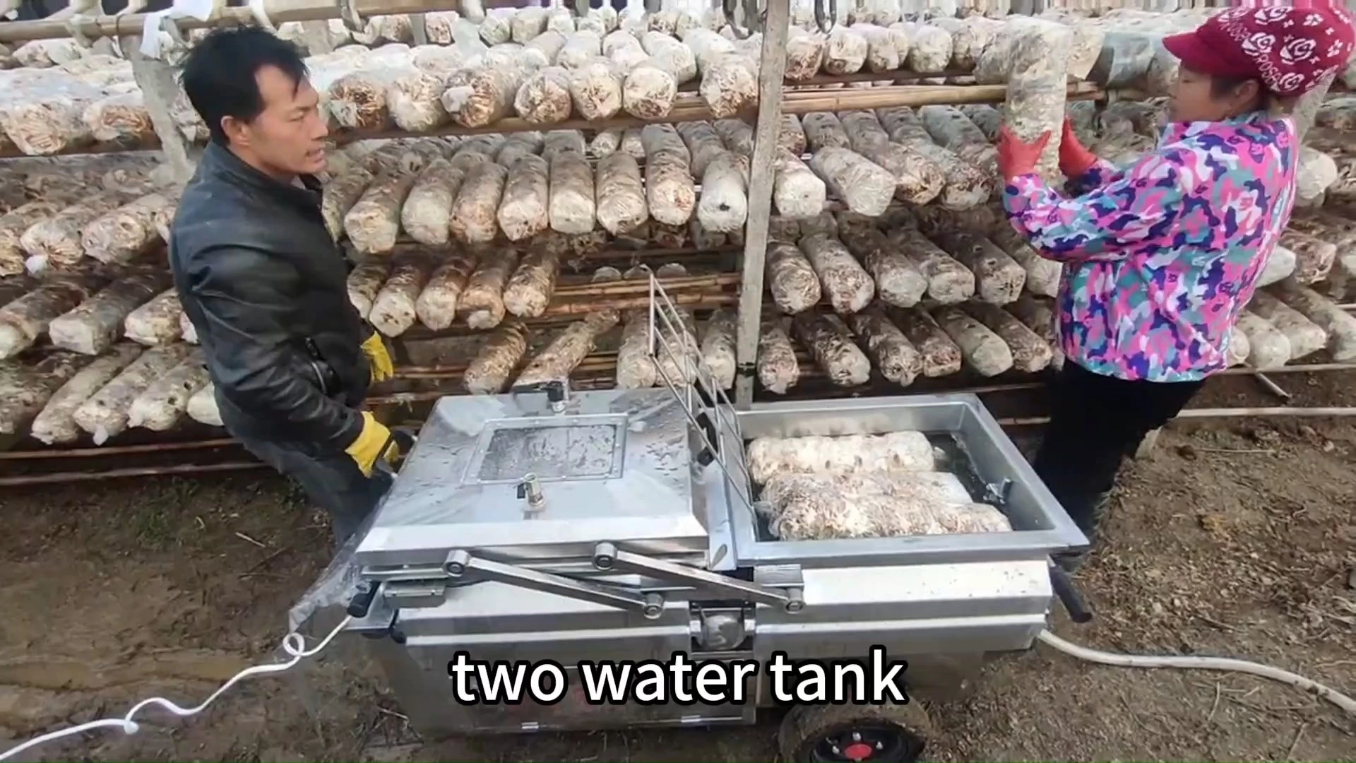 Shiitake Mushroom Bag Water Soaking Machine - Image 2