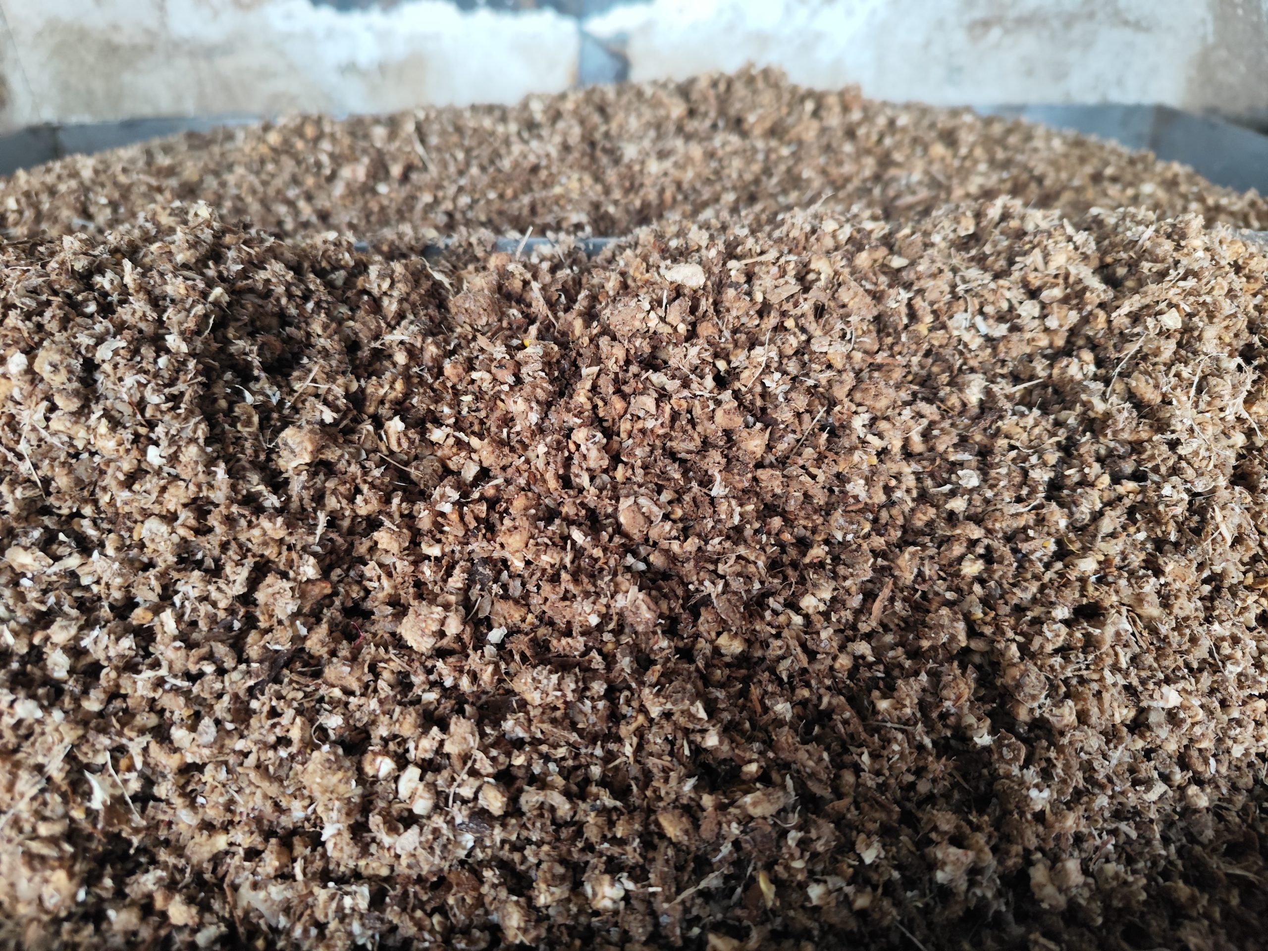 What are the raw materials and formulas for the production of King Oyster Mushroom? 1