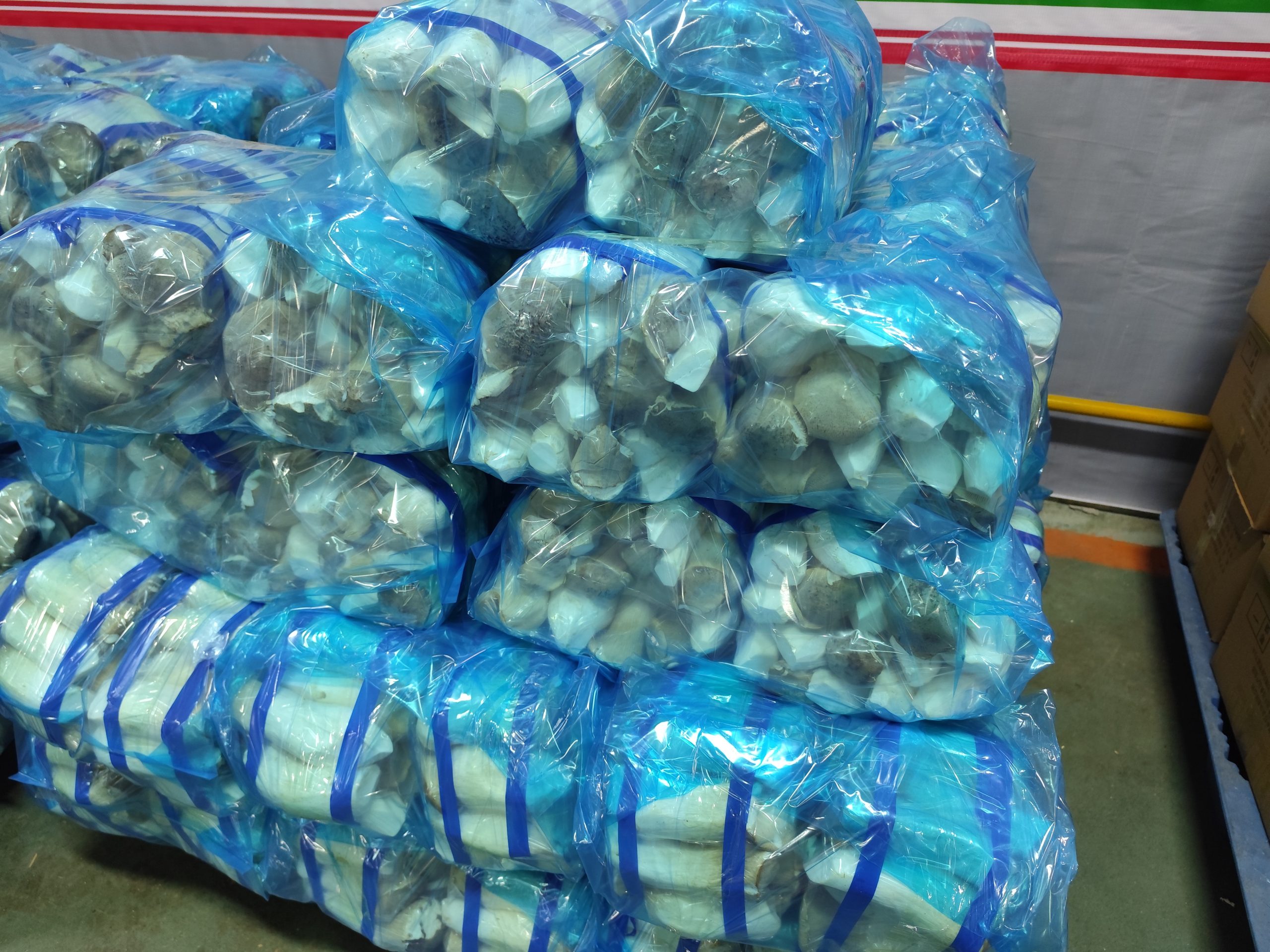 What should be paid attention to in the preservation and packaging of King Oyster Mushroom in the factory? 1