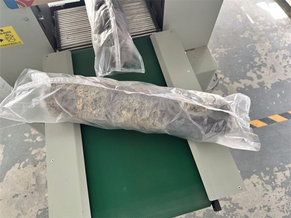 electric mushroom solid spawn inoculation machine