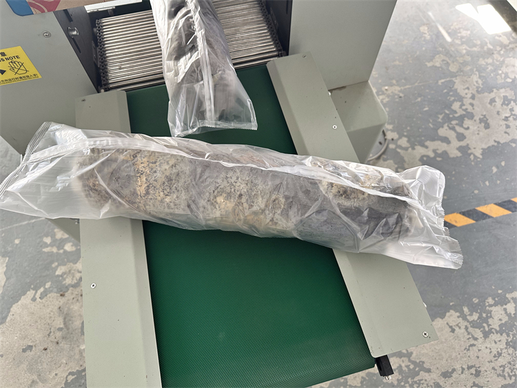 electric mushroom solid spawn inoculation machine - Image 7