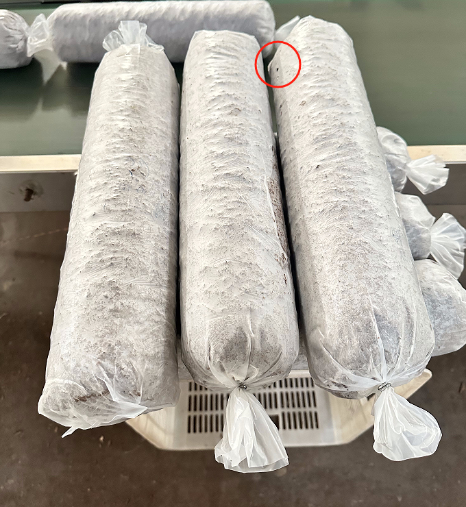 shiitake bag filling clipping machine 1